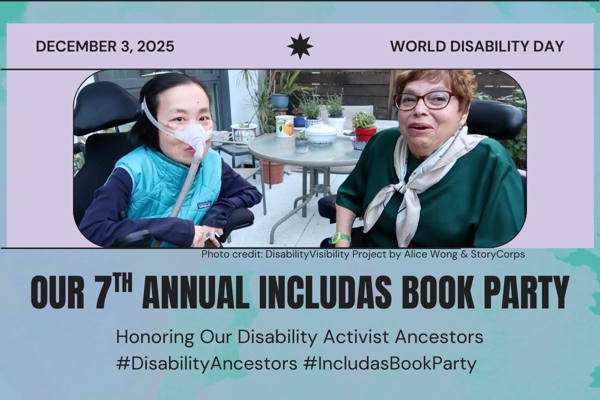 blog banner for seventh includas book banner.